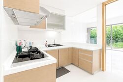 The Parc Condominium (D5), Condominium #561228581